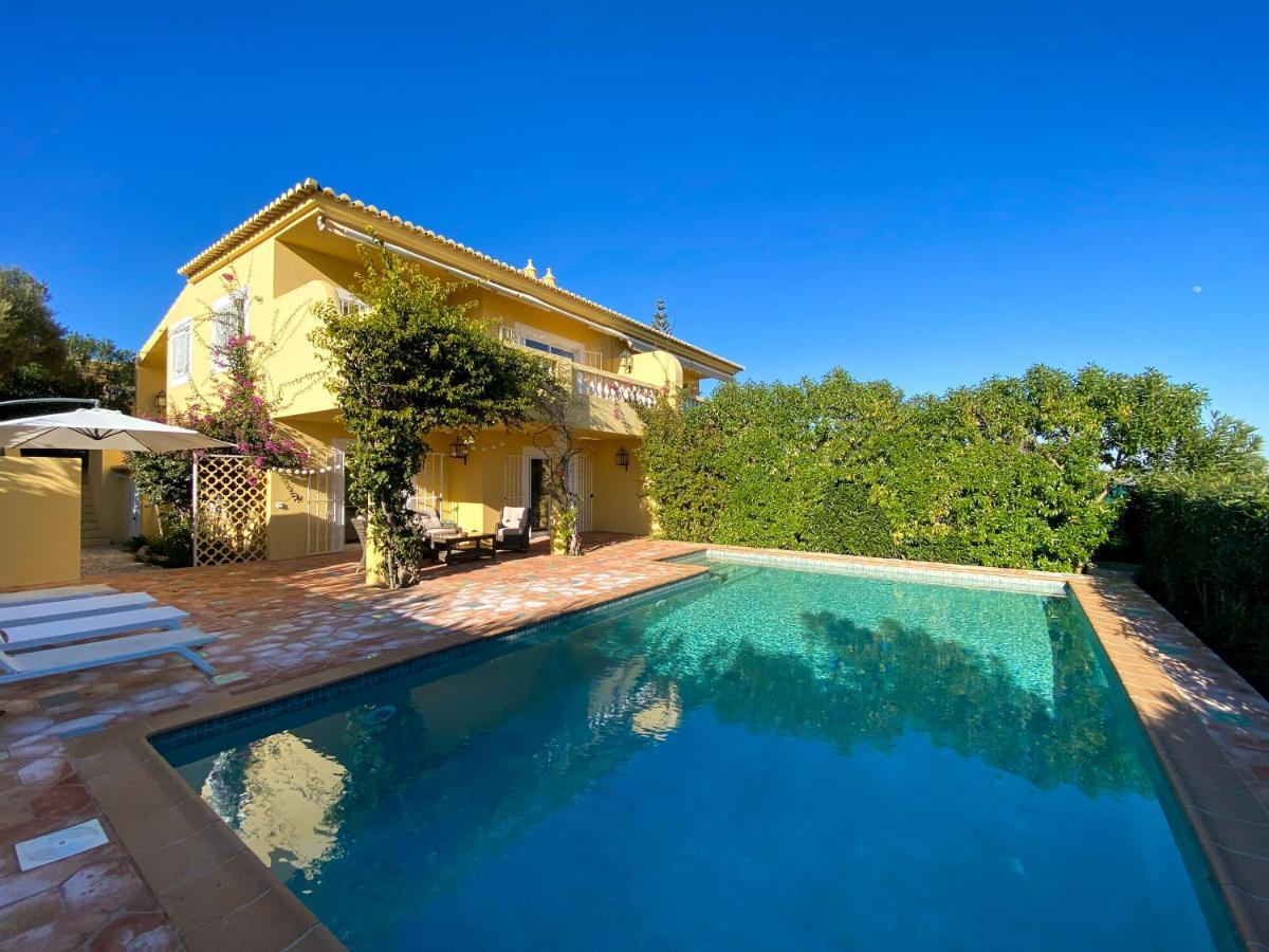 Appartement Beachfront With Pool And Stunning Ocean View #1908 *